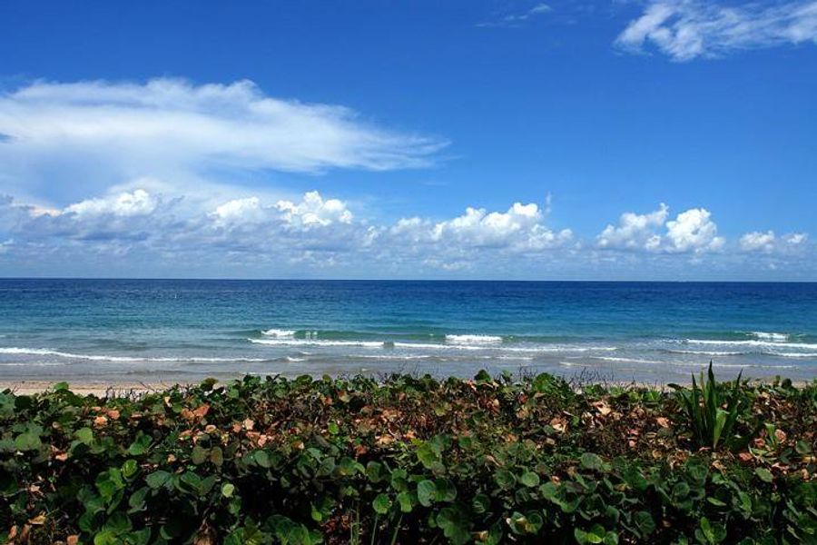 Beach Club Atlantic View