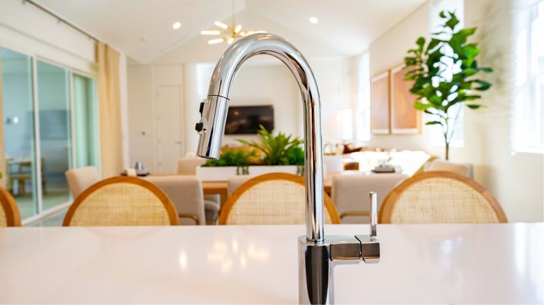 AUS Genesis Wolf Ranch3 D Rune EI Kitchen Faucet 022726