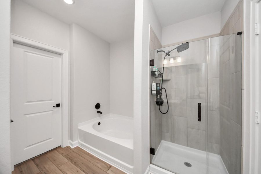 Furnished interior view inside a new home in , Santa Fe (Image 16).