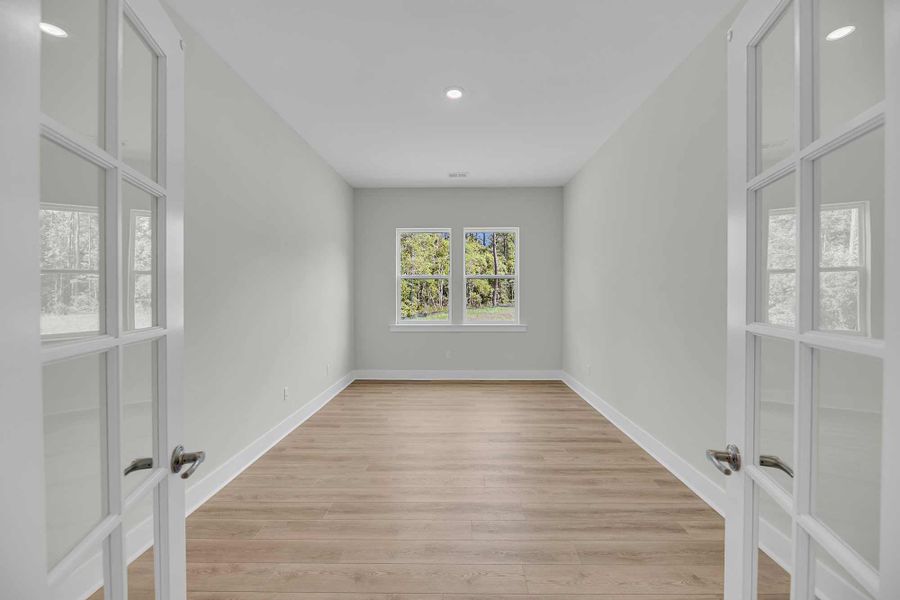 The Honeysuckle - Study The Honeysuckle - Study