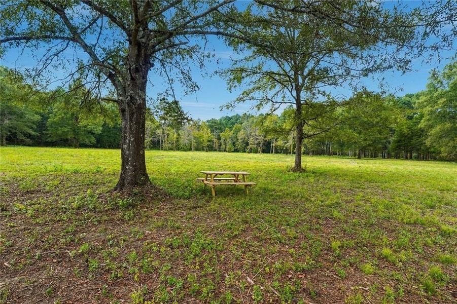 Natural landscape and outdoor views near  in Resaca (Image 37).