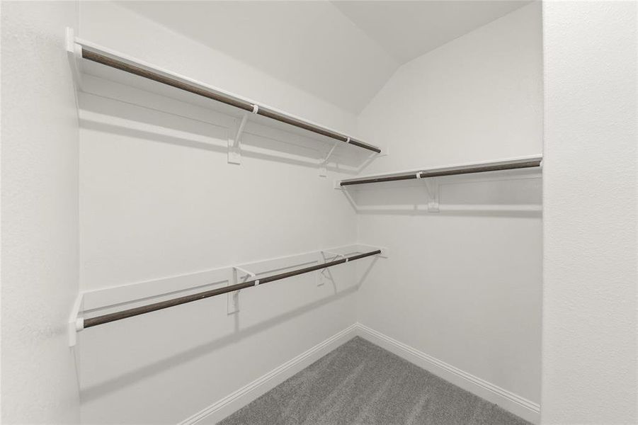 Walk in closet featuring carpet flooring and lofted ceiling