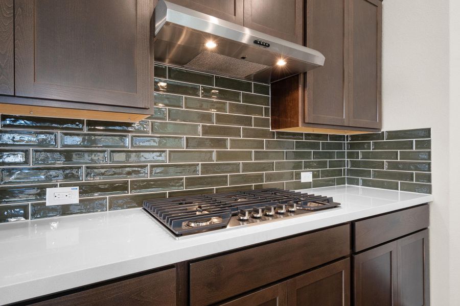 Close-up of interior finishes inside a home in Dunham Pointe 50', Cypress (Image 13).