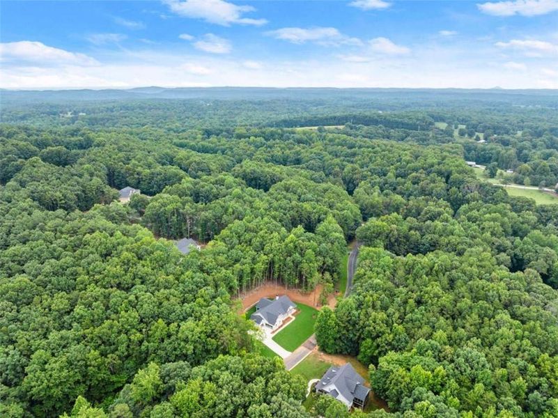 Natural landscape and outdoor views near  in Clarkesville (Image 43).