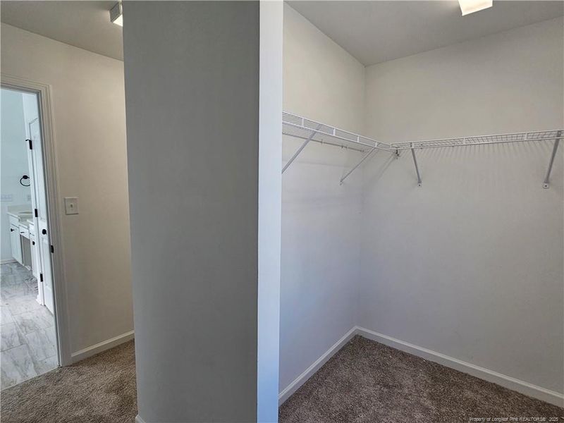 Pictures are a likeness