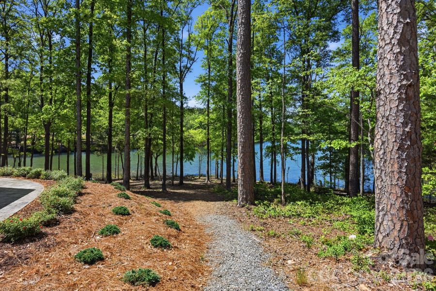 The Courtyards at Lake Davidson lake access