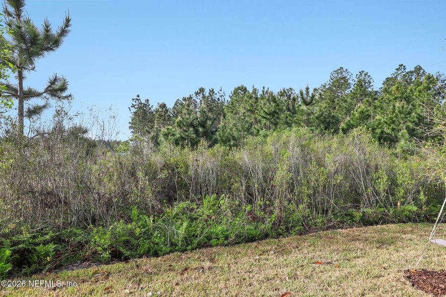 Natural landscape and outdoor views near  in St. Augustine (Image 47).