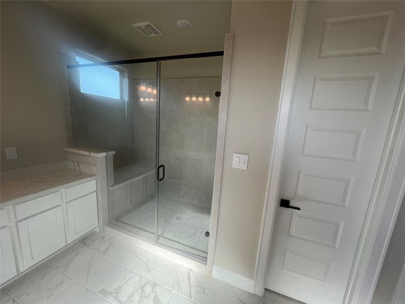 Large walk-in shower in the owner's bath