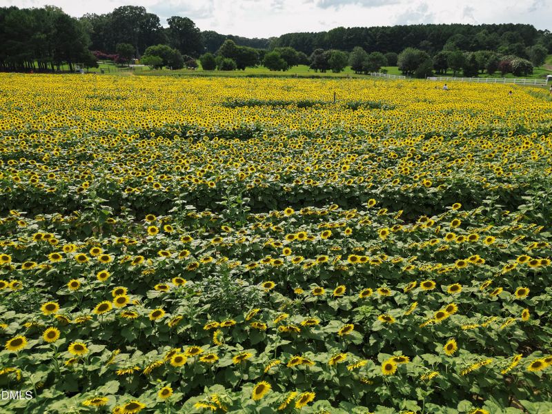 Proximity_Lifestyle_3