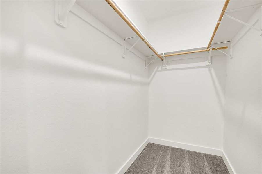 Spacious ensuite primary walk-in closet featuring carpet