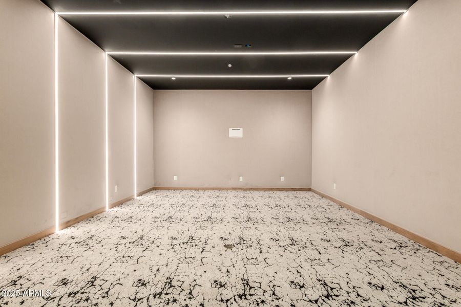 Theater/Golf Simulator