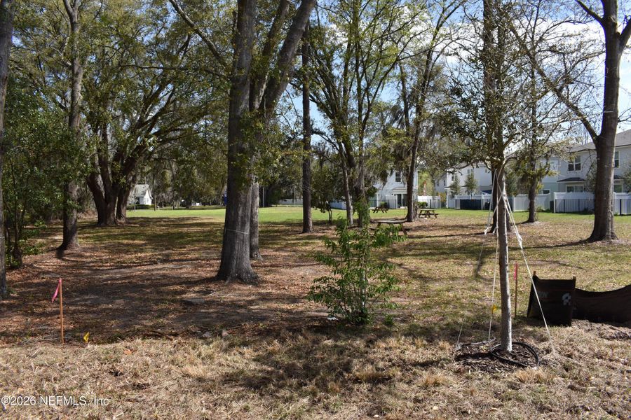 Natural landscape and outdoor views near Irongate Villas in Jacksonville (Image 29).