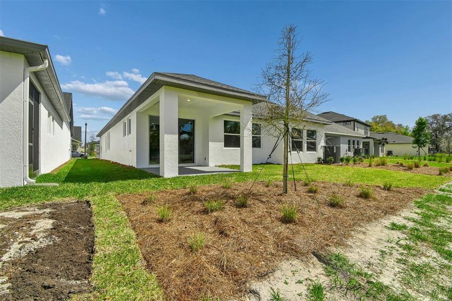 Exterior details and patio area of a home in Oakfield at Mount Dora Village Series, Mount Dora (Image 17).