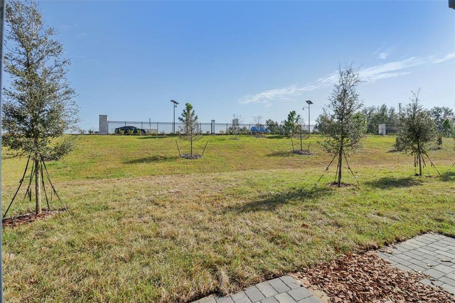 Natural landscape and outdoor views near The Reserve at Hammock Oaks Townes in Lady Lake (Image 30). Natural landscape and outdoor views near The Reserve at Hammock Oaks Townes in Lady Lake (Image 30).