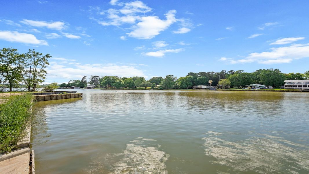 Natural landscape and outdoor views near Lake Conroe Cove in Willis (Image 25).