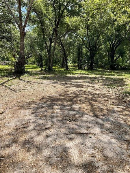 Natural landscape and outdoor views near  in Arcadia (Image 14).