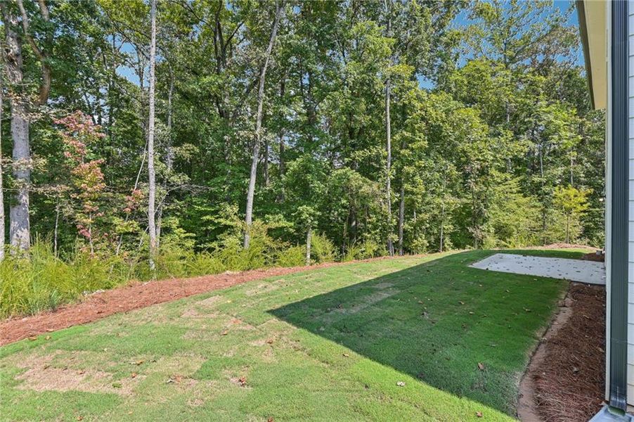 Natural landscape and outdoor views near The Oaks at Dawson in Dawsonville (Image 40).