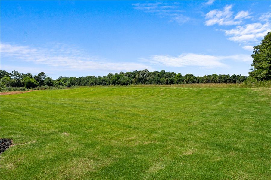 A spacious, verdant lawn extends toward a mature t