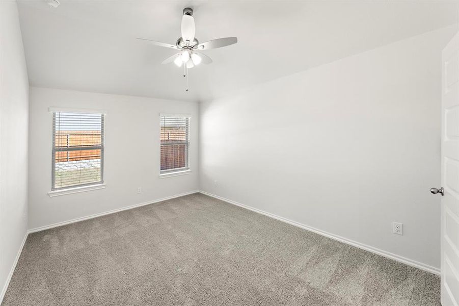 19. 118 Coyote - Primary 19. 118 Coyote - Primary