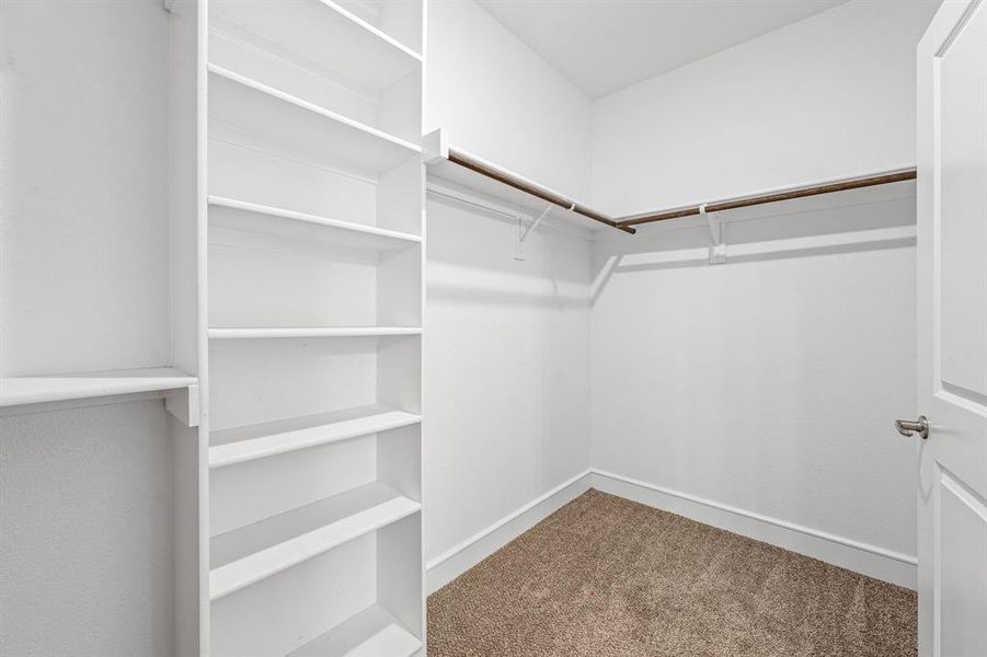 Walk in closet with carpet Walk in closet with carpet