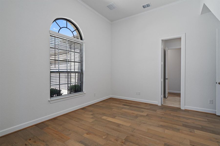 Room featuring wood-finish flooring, a large arched window with blinds, white baseboards, crown molding, and a doorway opening to an additional interior space