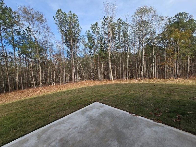 Natural landscape and outdoor views near Waters Edge in Mansfield (Image 35).