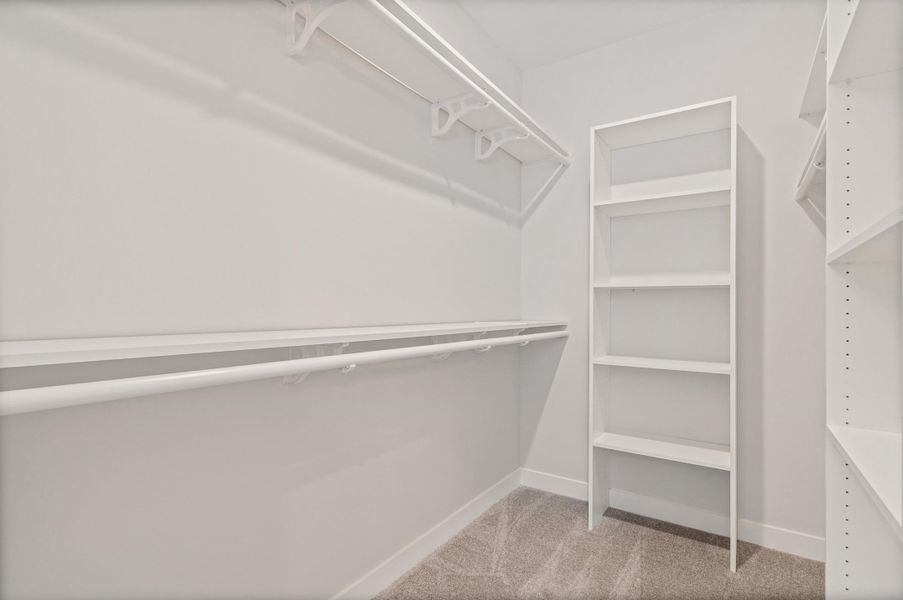 Walk-in closet featuring white built-in shelving, white clothes hanging rods, white walls, white baseboards, and carpet flooring Walk-in closet featuring white built-in shelving, white clothes hanging rods, white walls, white baseboards, and carpet flooring