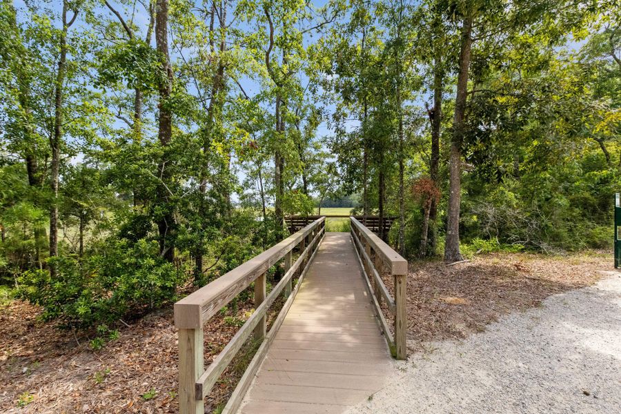 Natural landscape and outdoor views near Oak Bluff in Charleston (Image 38). Natural landscape and outdoor views near Oak Bluff in Charleston (Image 38).