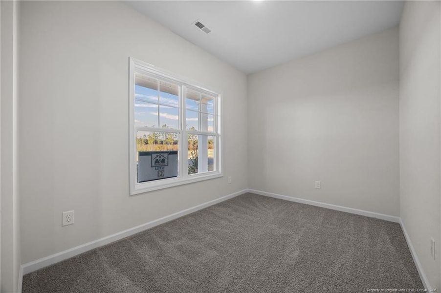 Lower level flex room with closet