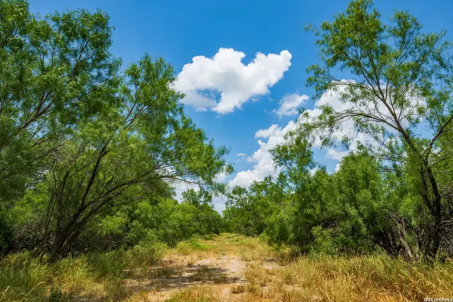 Natural landscape and outdoor views near in Crystal City (Image 37). Natural landscape and outdoor views near in Crystal City (Image 37).