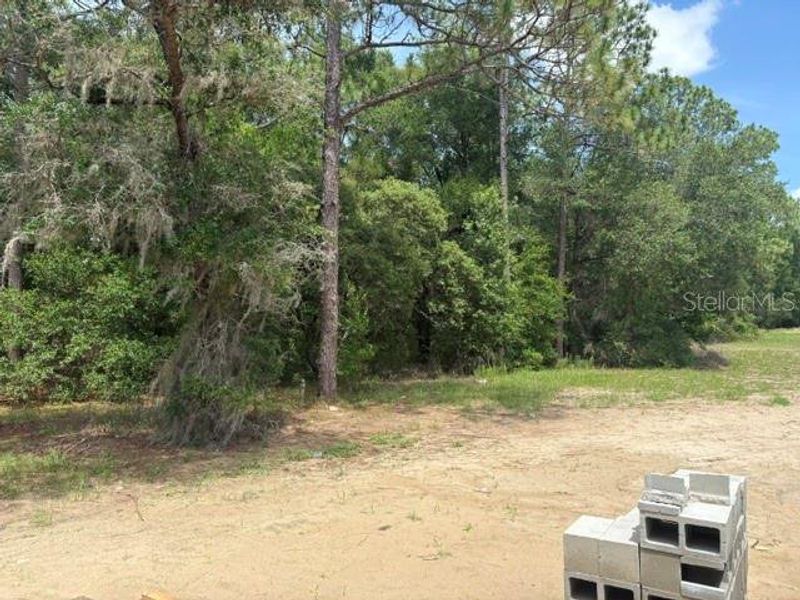 Natural landscape and outdoor views near in Dunnellon (Image 11). Natural landscape and outdoor views near in Dunnellon (Image 11).