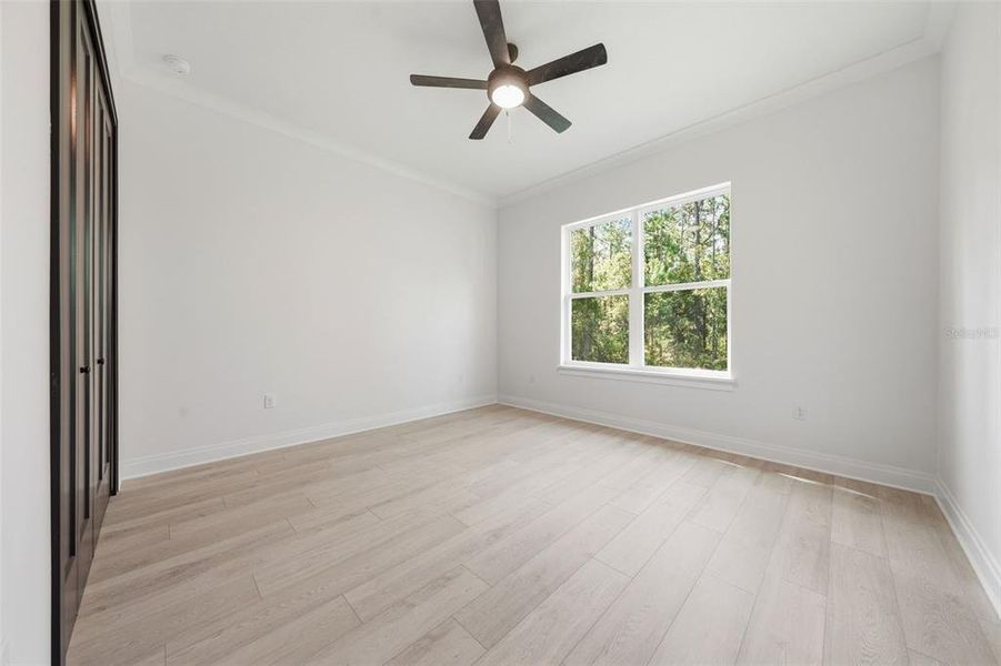 Spacious, unfurnished interior of a new home in , Wildwood (Image 51).