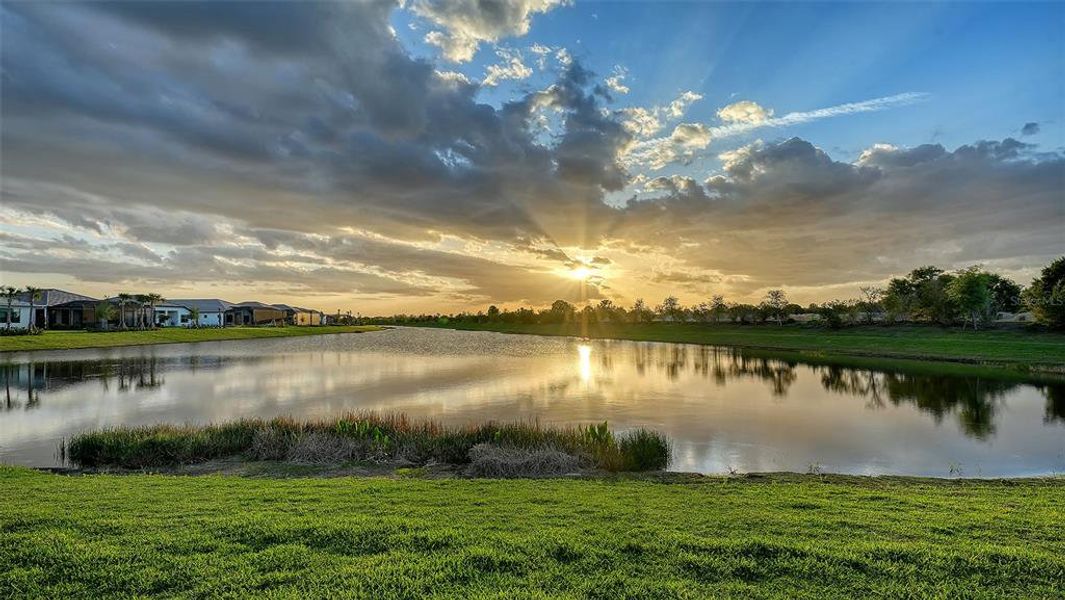 Natural landscape and outdoor views near  in Sarasota (Image 84).