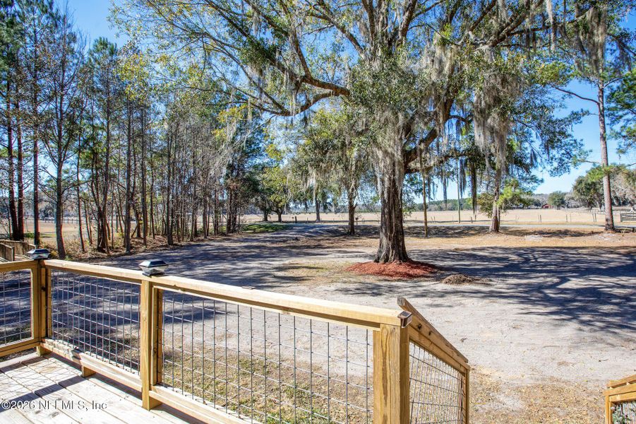 Natural landscape and outdoor views near  in Lake Butler (Image 29).