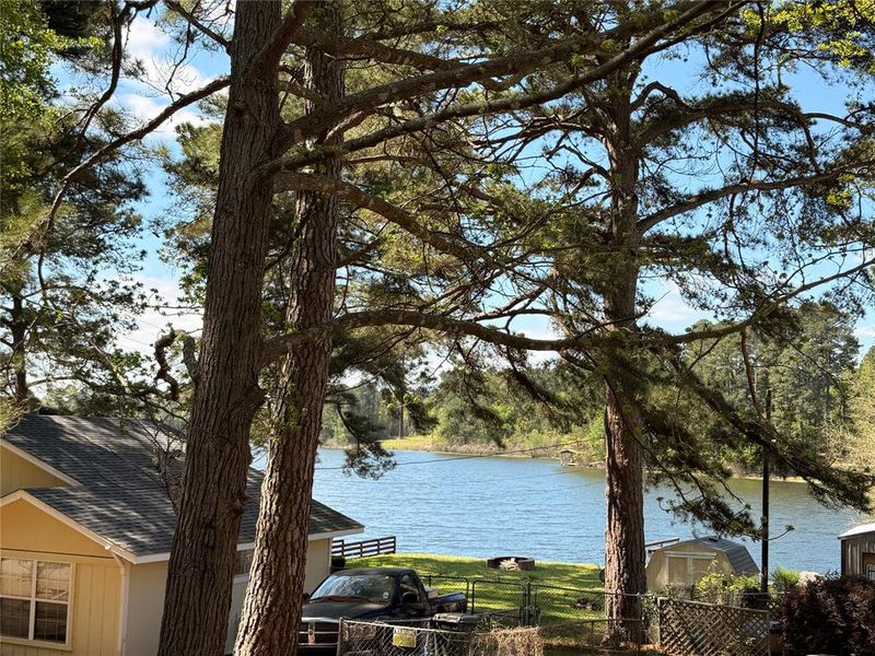 Natural landscape and outdoor views near  in Quitman (Image 18).