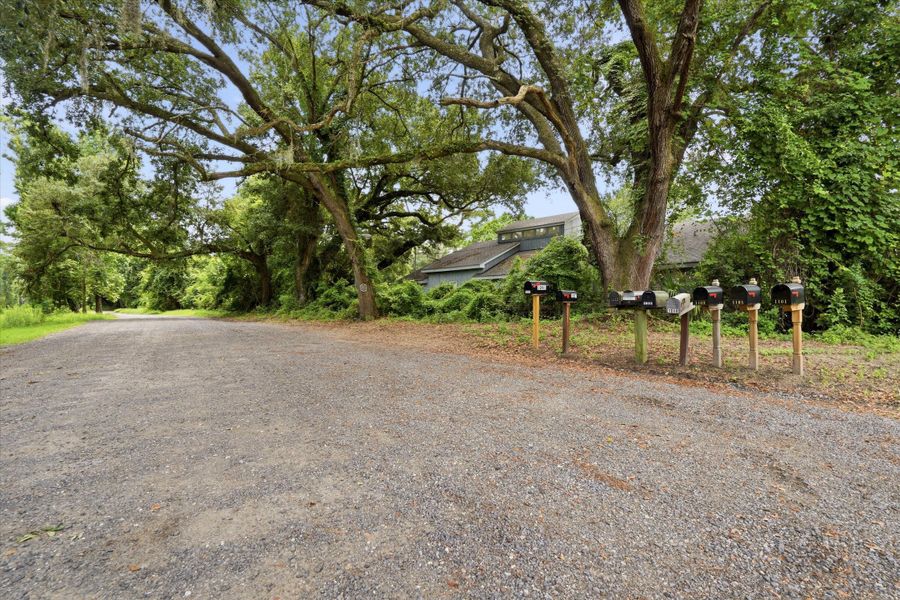 Natural landscape and outdoor views near  in Mount Pleasant (Image 45).