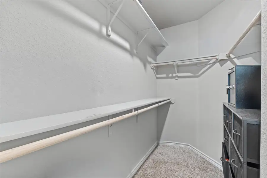 Spacious closet with light carpet