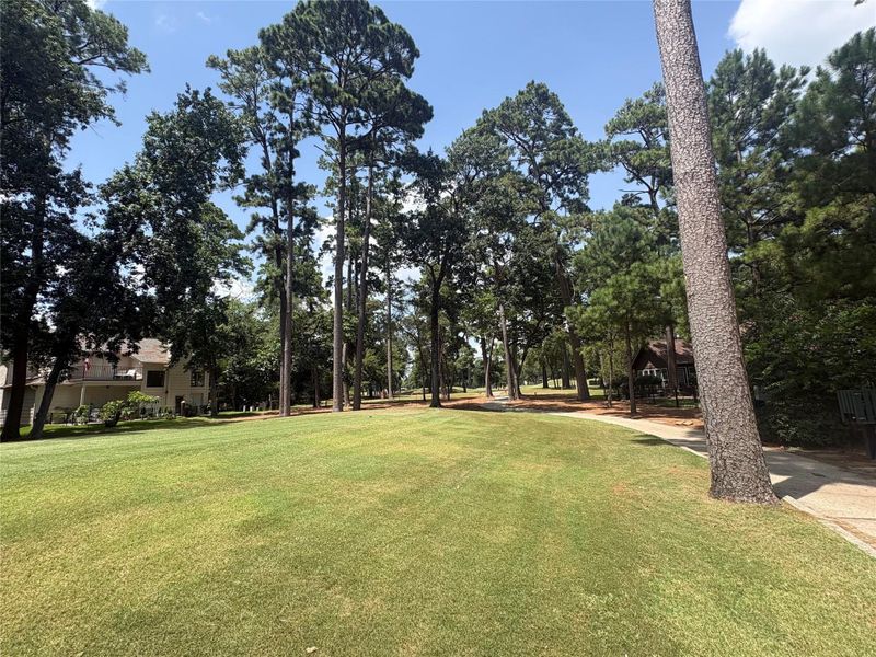 Natural landscape and outdoor views near in Montgomery (Image 10). Natural landscape and outdoor views near in Montgomery (Image 10).