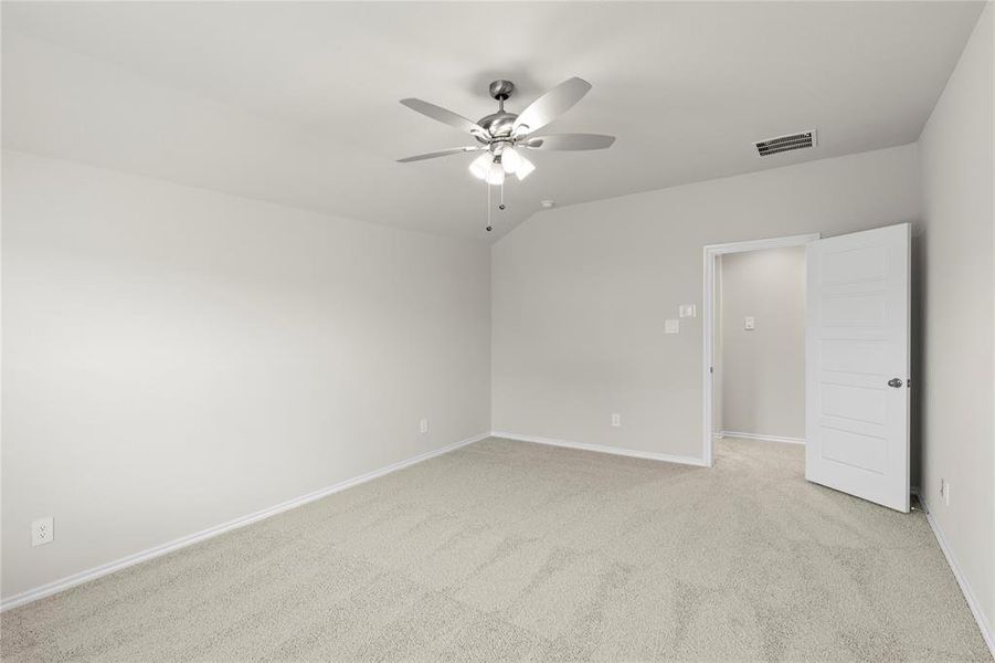 14. 1817 Hazer - Primary (2)