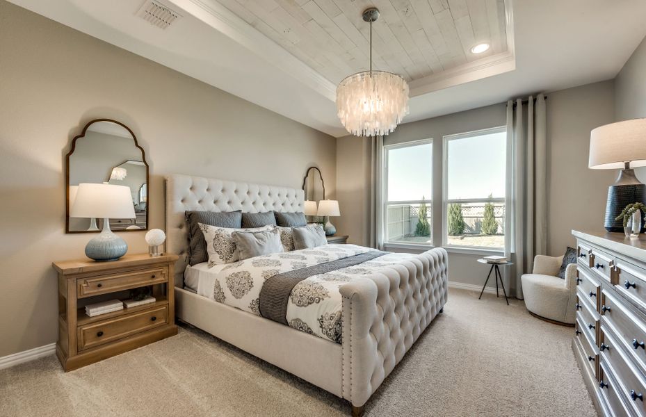 Owner's suite with tray ceiling and large windows