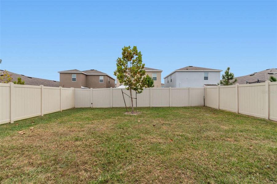 Exterior details and patio area of a home in Westgate at Avalon Park, Wesley Chapel (Image 41).
