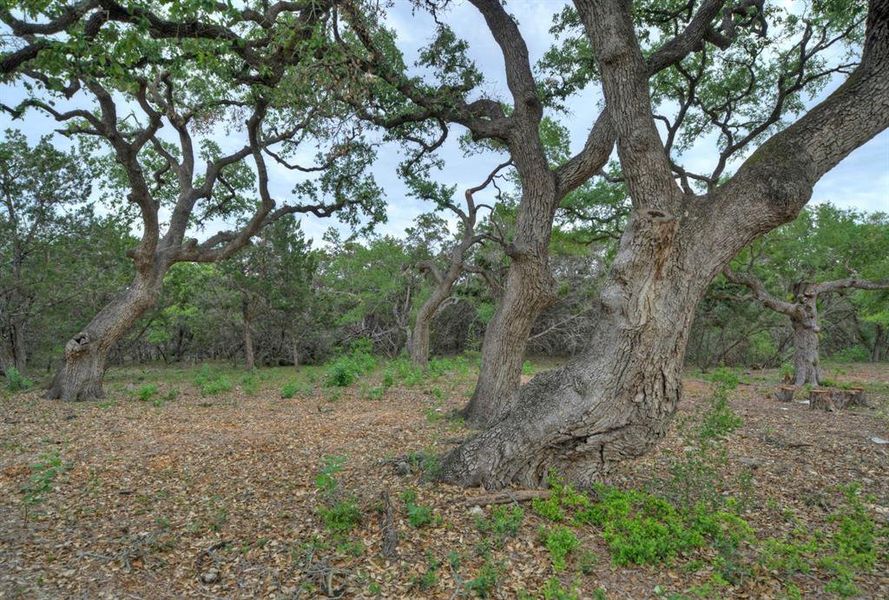 Natural landscape and outdoor views near in Austin (Image 21). Natural landscape and outdoor views near in Austin (Image 21).