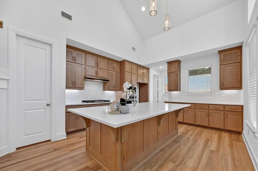 Furnished interior view inside a new home in Hillstead, Lavon (Image 7).