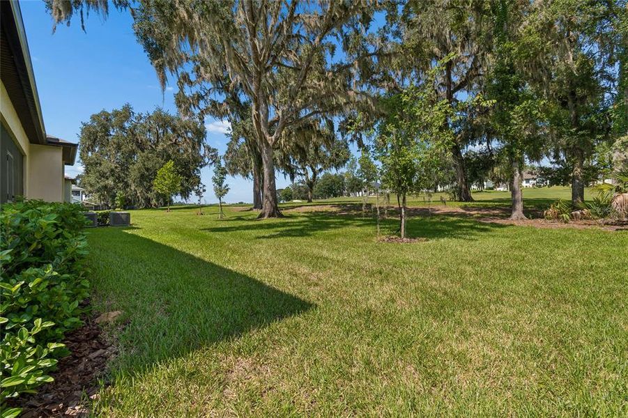 Natural landscape and outdoor views near  in Brooksville (Image 42).
