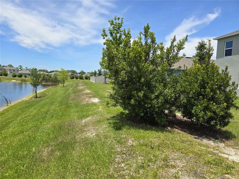 Natural landscape and outdoor views near Charles Cove Express in Davenport (Image 32).