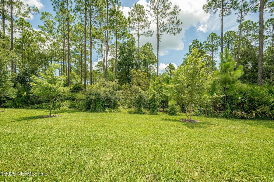 Natural landscape and outdoor views near Del Webb Nocatee in Ponte Vedra (Image 34). Natural landscape and outdoor views near Del Webb Nocatee in Ponte Vedra (Image 34).