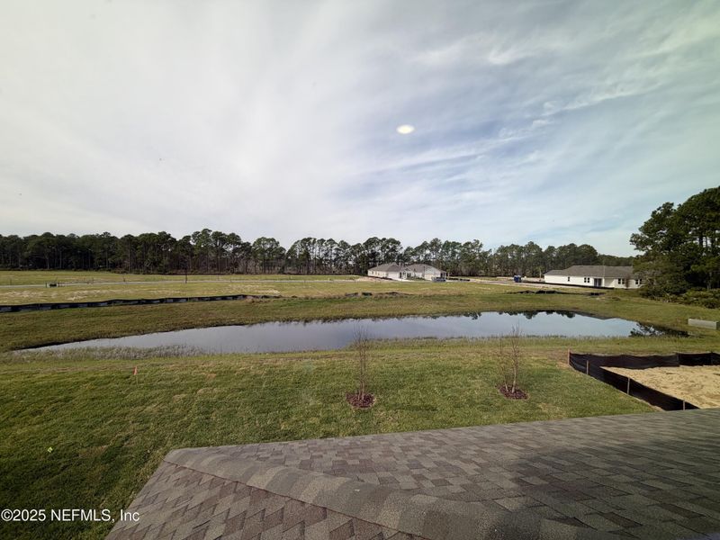 Natural landscape and outdoor views near  in Flagler Beach (Image 46).