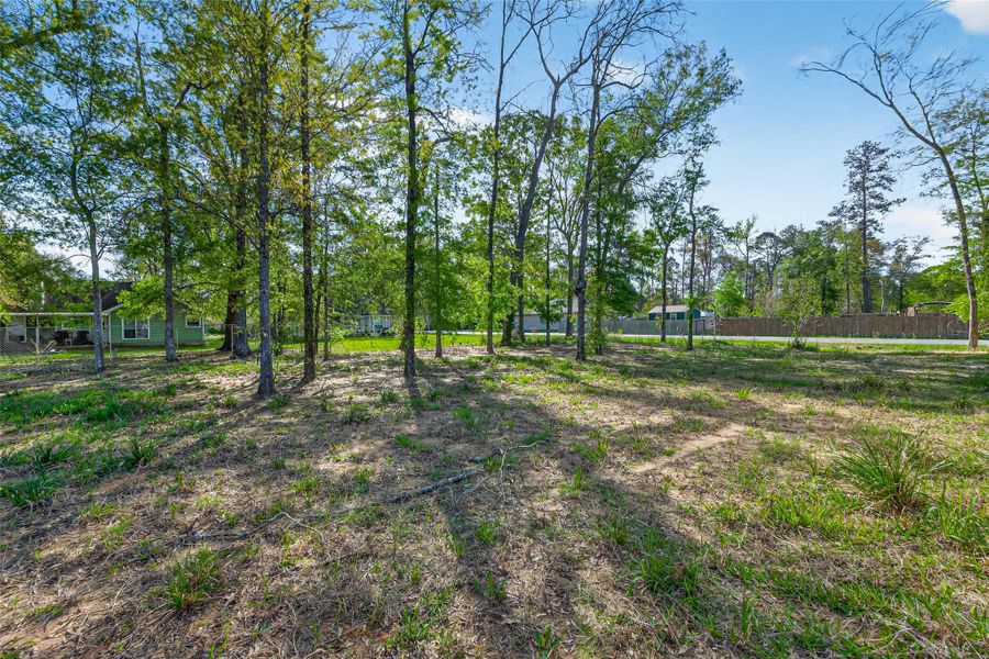 View from the porch.