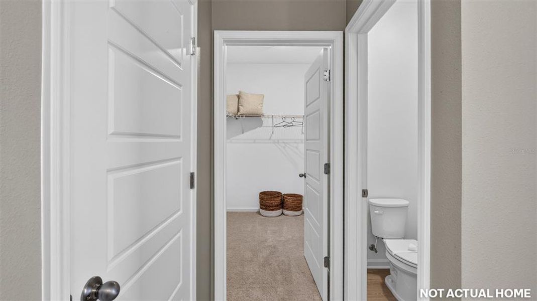 Furnished interior view inside a new home in , Palm Coast (Image 20). Furnished interior view inside a new home in , Palm Coast (Image 20).