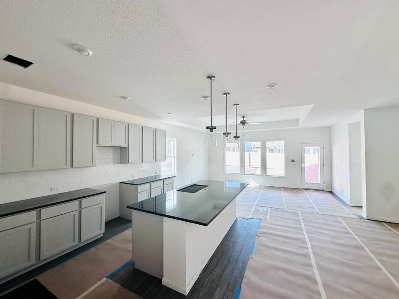 13217 Rindle Reach Drive ~ Under Construction
